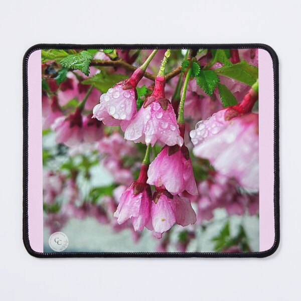 Item preview, Spring is here designed and sold by CassCommerer.