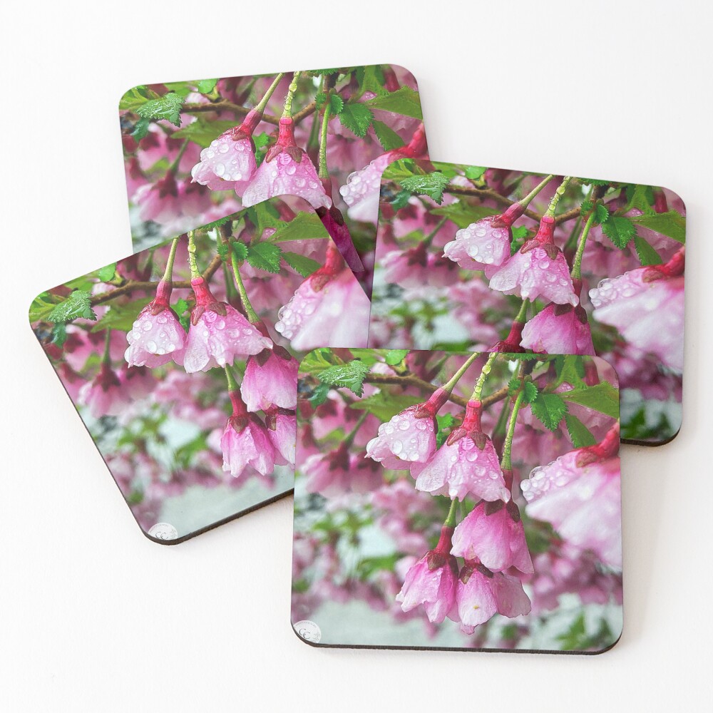 Item preview, Coasters (Set of 4) designed and sold by CassCommerer.
