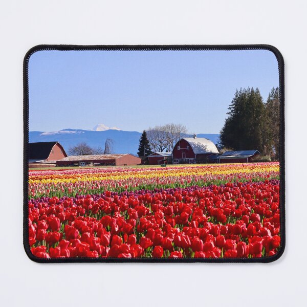 Item preview, Field of Tulips designed and sold by Lacy Hempel.