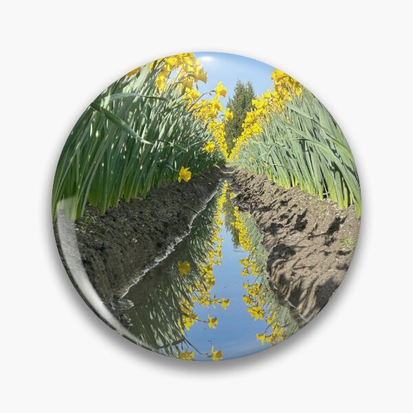 Item preview, Daffodil Reflections designed and sold by Lacy Hempel.