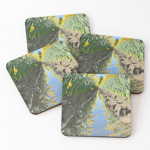 Item preview, Daffodil Reflections designed and sold by Lacy Hempel.