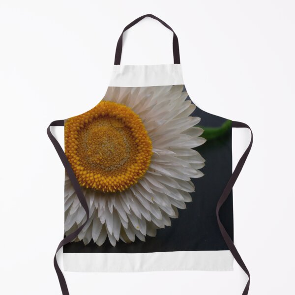 Item preview, Strawflower photo designed and sold by Cblifeisgood.