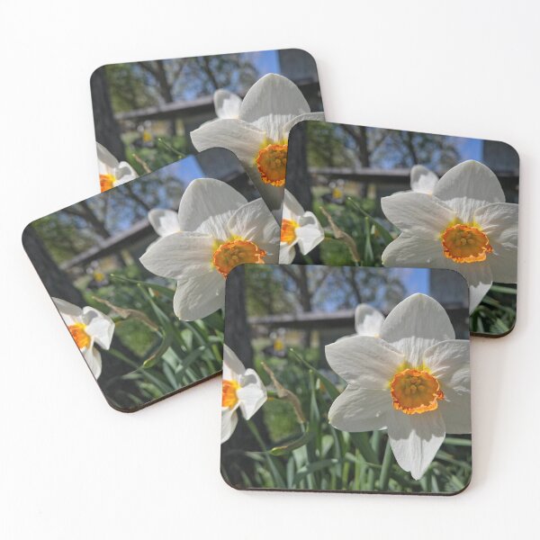 Item preview, Spring Daffodil designed and sold by Betsy Phillips.