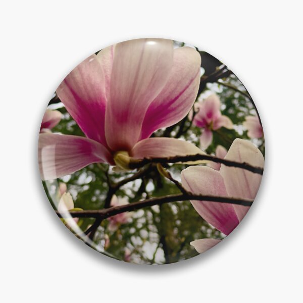 Item preview, Magnolias in Bloom designed and sold by Pamela Storch.