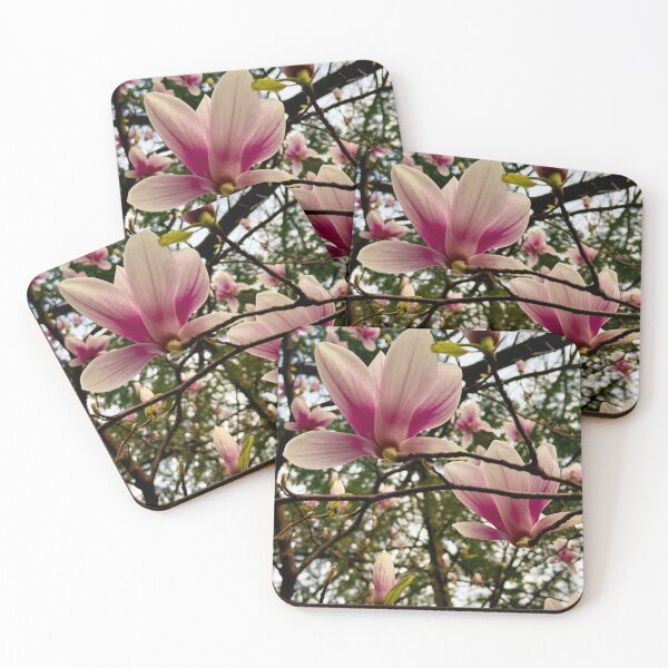 Item preview, Magnolias in Bloom designed and sold by Pamela Storch.