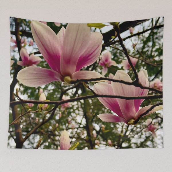 Item preview, Magnolias in Bloom designed and sold by Pamela Storch.