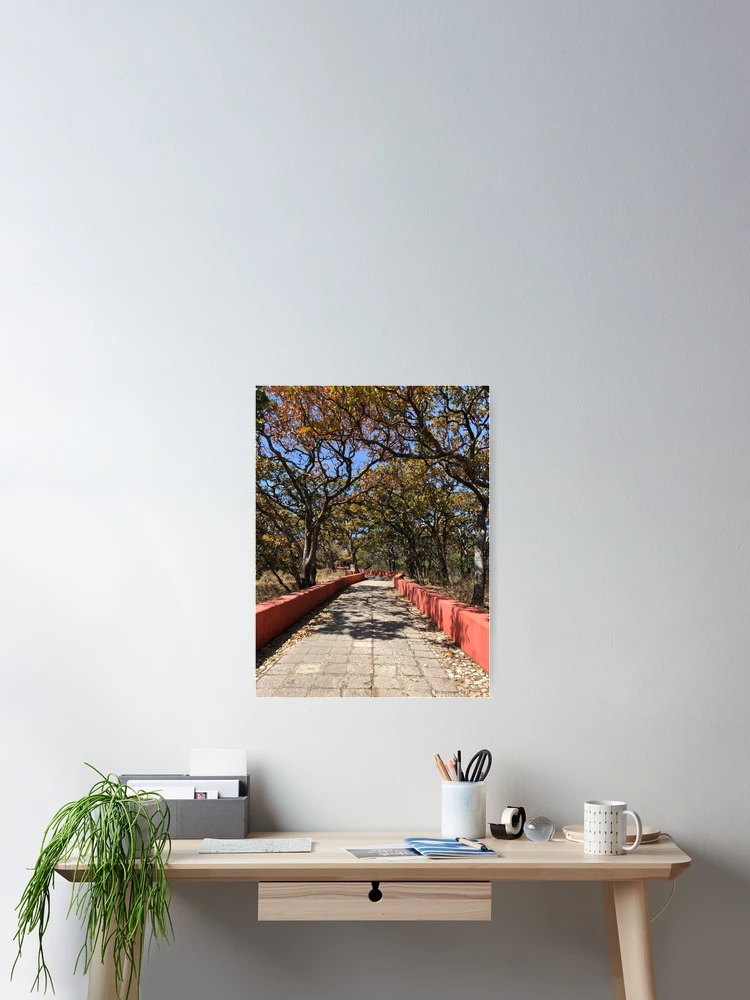 Thumbnail 2 of 3, Poster, White Oak Path designed and sold by RDLT.