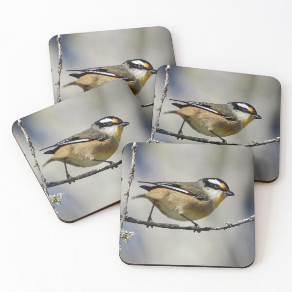 Item preview, Striated Pardalote on the beach designed and sold by Mark Grimsley.