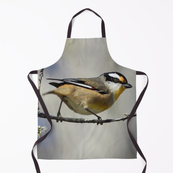 Item preview, Striated Pardalote on the beach designed and sold by Mark Grimsley.