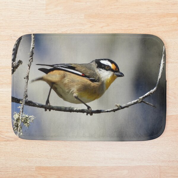 Item preview, Striated Pardalote on the beach designed and sold by Mark Grimsley.