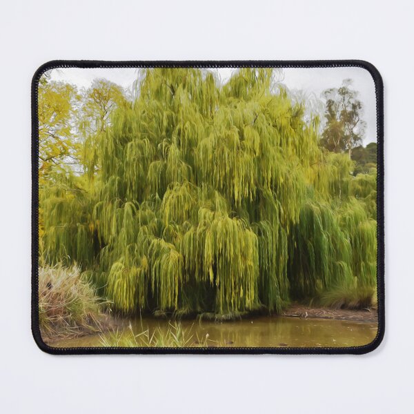 Item preview, The Quiet Heart of Malmsbury designed and sold by Yolanda Caporn Art.