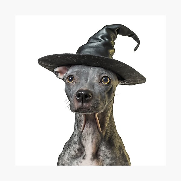 Vista previa del artículo con la obra «Perro terrier americano sin pelo con sombrero de bruja de Halloween», diseñado y vendido por LazyOwlStore.
