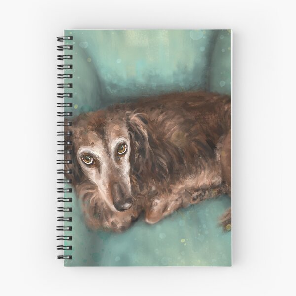 Item preview, Painting of a Brown Long Haired Dachshund Dog Staring Directly at You.  designed and sold by ibadishi.