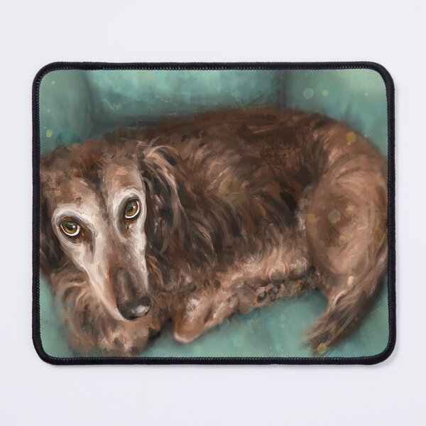 Item preview, Painting of a Brown Long Haired Dachshund Dog Staring Directly at You. designed and sold by ibadishi.