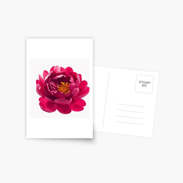 Item preview, Peony Bloom – Elegant Floral Art Print for Home & Gifts designed and sold by bvdesignart.