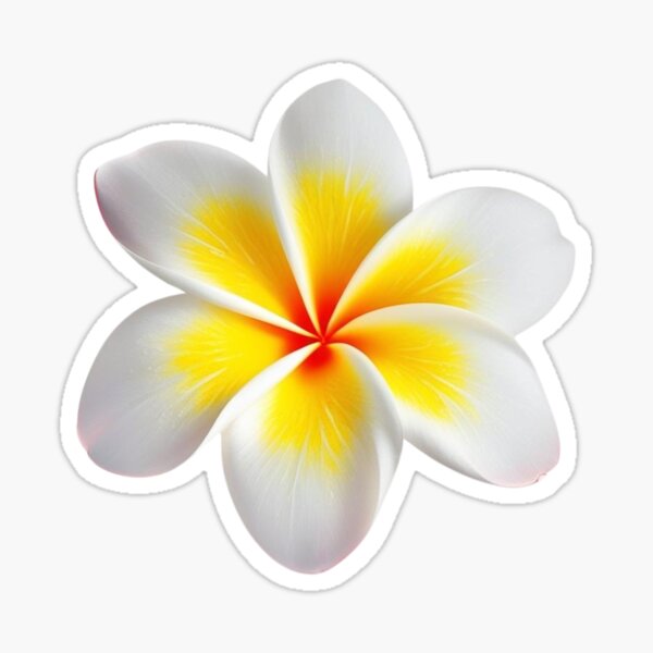 Item preview, Frangipani Flower – Tropical Botanical Art for Wall Decor designed and sold by bvdesignart.