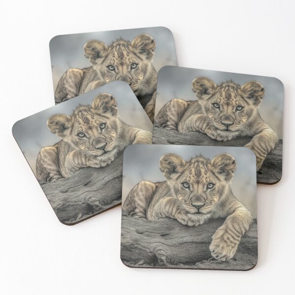 Item preview, Fully Focussed Lion Cub designed and sold by Brian Tarr.