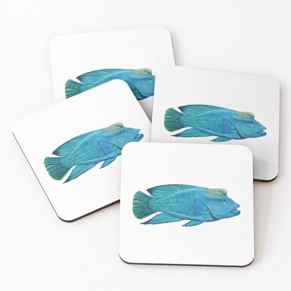 Item preview, The Napoleonfish is characterized by the presence above its head of a distinctive irregular globular hum designed and sold by wonderisland.