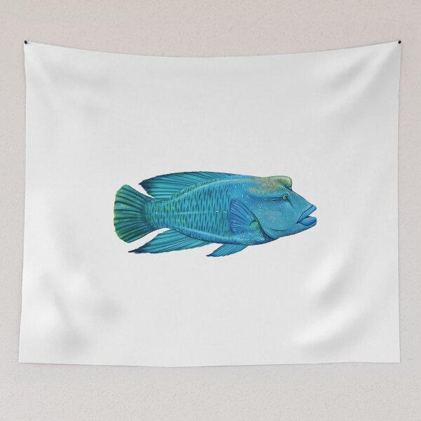 Item preview, The Napoleonfish is characterized by the presence above its head of a distinctive irregular globular hum designed and sold by wonderisland.