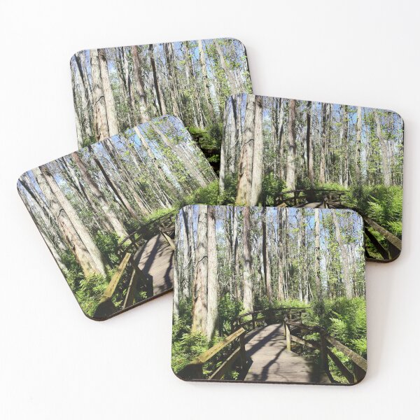 Item preview, Swamp Trail designed and sold by MercerImages.