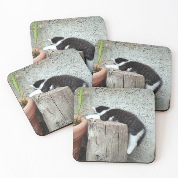 Item preview, Sleep designed and sold by Gourmetkater.