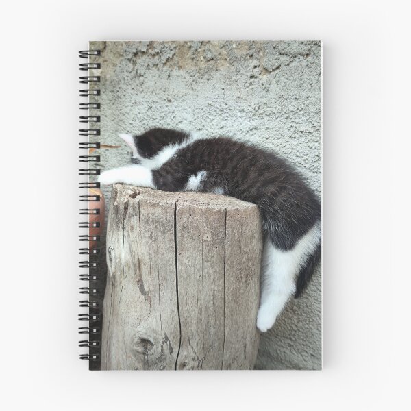 Item preview, Sleep designed and sold by Gourmetkater.