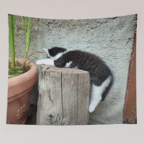 Item preview, Sleep designed and sold by Gourmetkater.