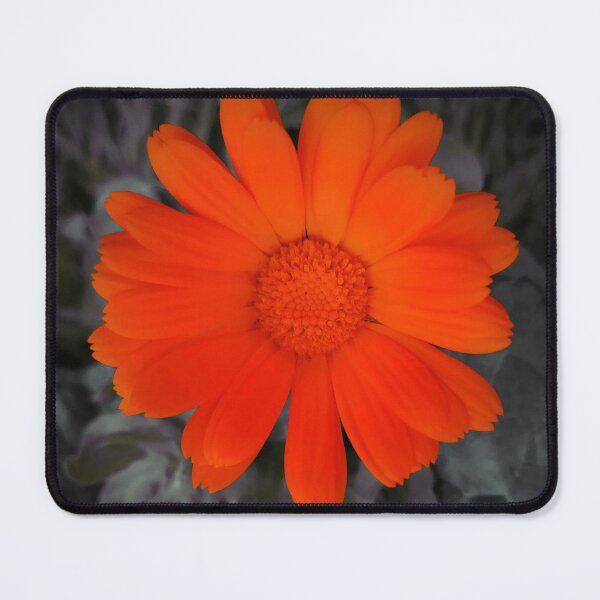 Item preview, Orange Flower Closeup Floral Art designed and sold by NickDedidis.