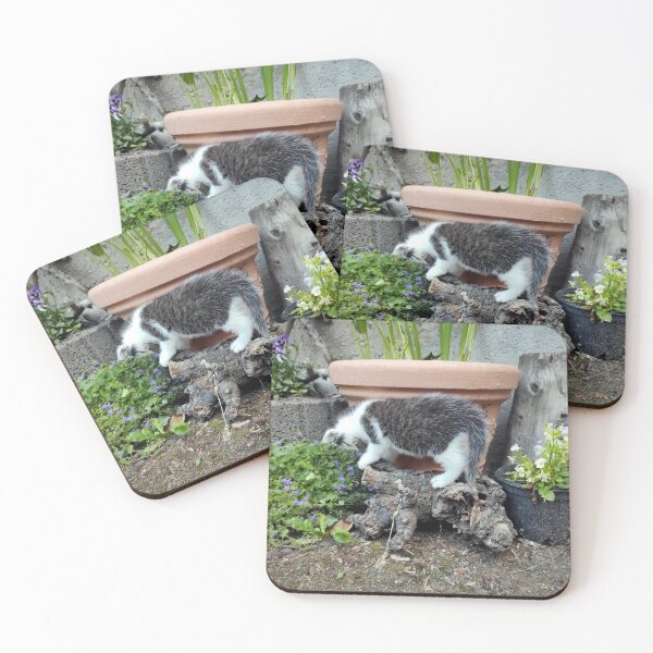 Item preview, Cat game designed and sold by Gourmetkater.