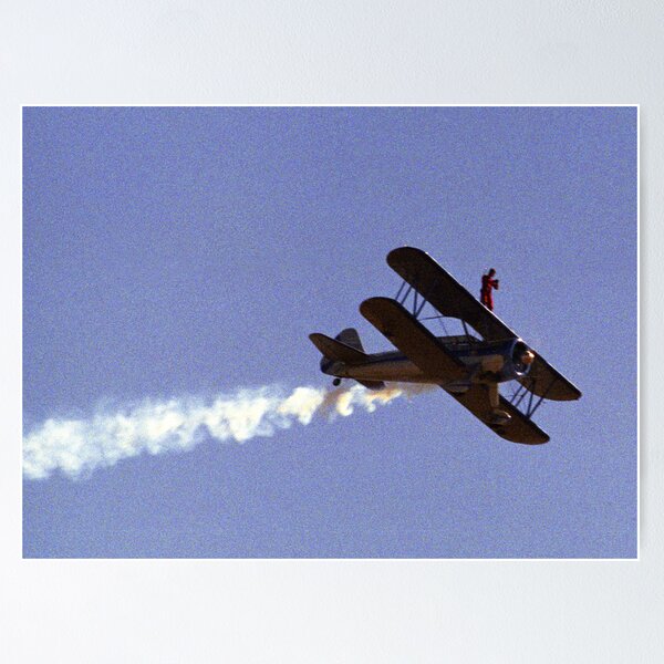 Item preview, Flying on the outside designed and sold by Bev Pascoe.