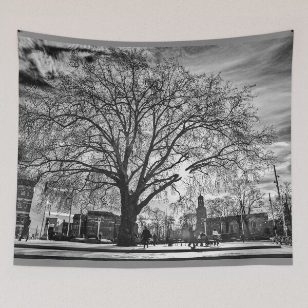 Item preview, Black and White Brixton Tree designed and sold by Sbomber73.