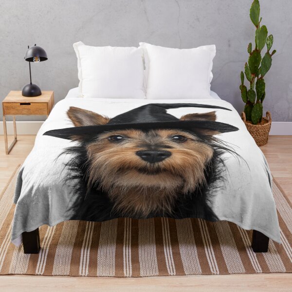 Artikelvorschau, Australian Terrier Hund trägt Halloween Hexenhut entworfen und verkauft von LazyOwlStore.