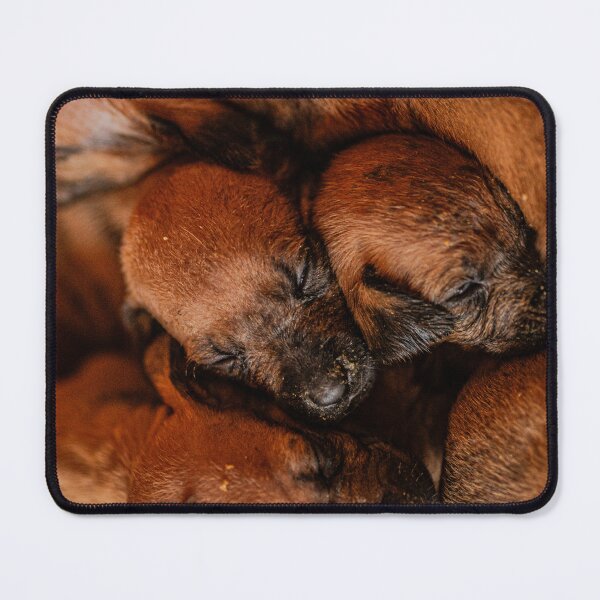 Item preview, Snuggle Pile designed and sold by IdleImages.