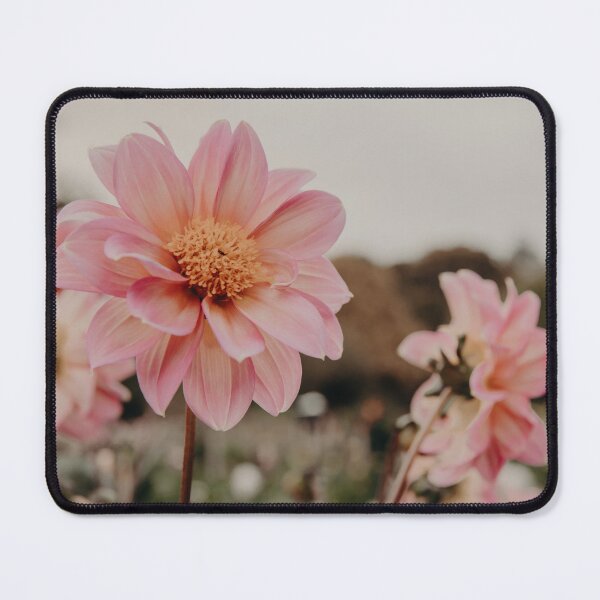 Item preview, Pink Dahlias designed and sold by SamanthaKaspers.