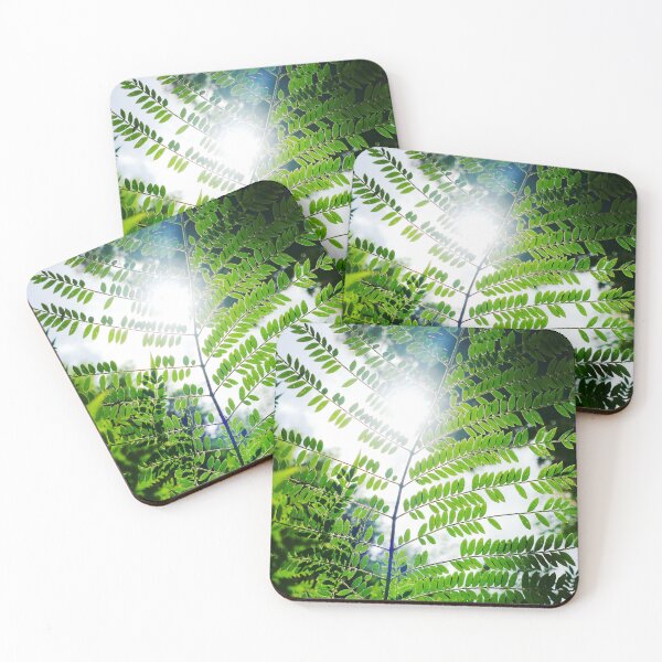 Item preview, Sunlight through the Sunshine Coast rainforest designed and sold by jaynerushton.