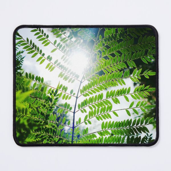 Item preview, Sunlight through the Sunshine Coast rainforest designed and sold by jaynerushton.