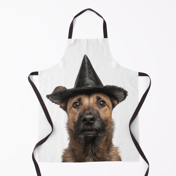 Aperçu de l'œuvre Chien Laekenois belge portant un chapeau de sorcière d'Halloween créée et vendue par LazyOwlStore.