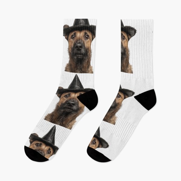 Item preview, Belgian Laekenois Dog Wearing Halloween Witch Hat designed and sold by LazyOwlStore.