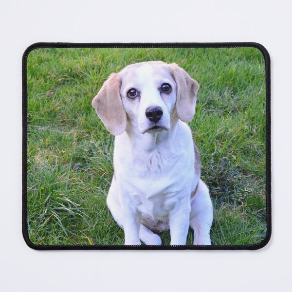 Item preview, Gentle beagle in the green garden designed and sold by MariaWinterArt.