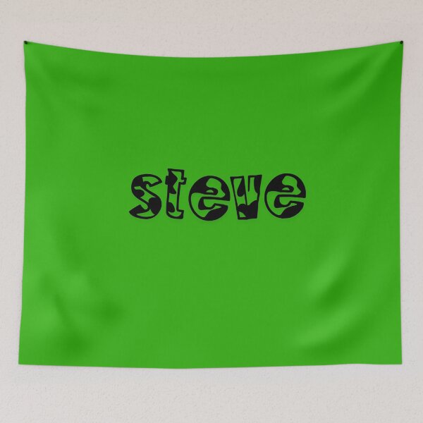 Item preview, steve fan art designed and sold by ZenFray.