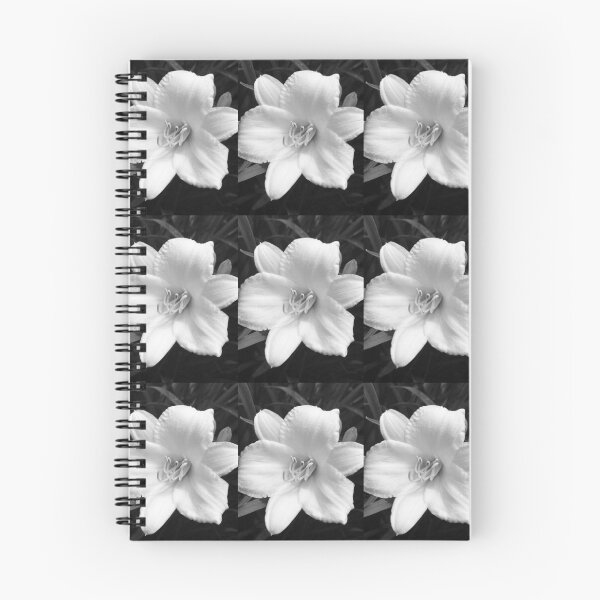 Item preview, Black and White flower designed and sold by Halie M.