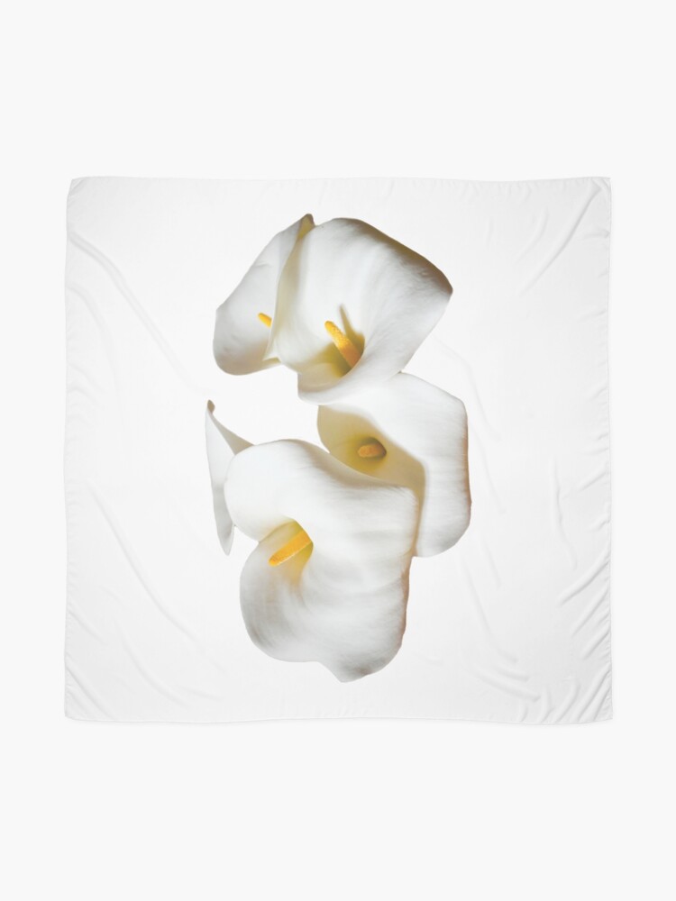 Elegant White Calla Lilies