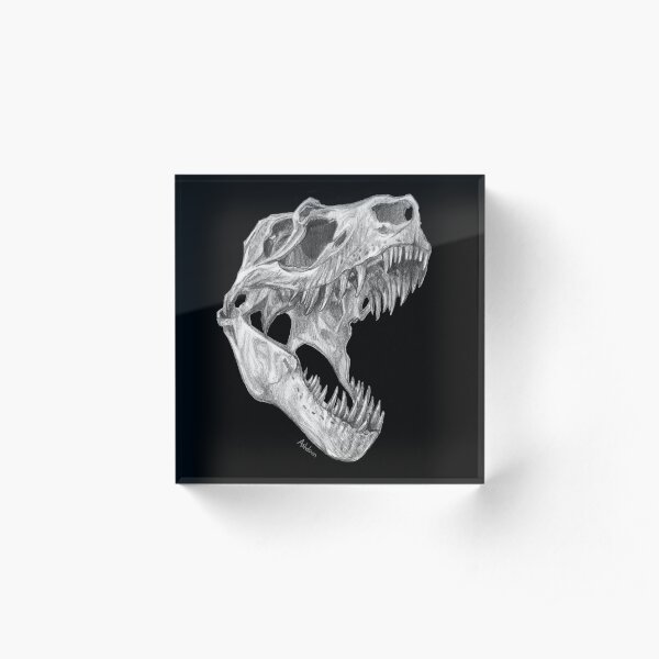 T-rex skull Acrylic Block