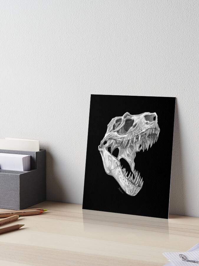 t rex bones drawing - Google Search  Dinosaur drawing, Skull drawing,  Skeleton drawings