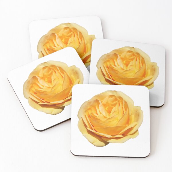 Aperçu de l'œuvre Une rose jaune créée et vendue par boldtvillemayor.
