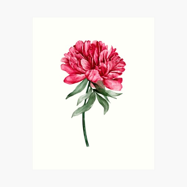 Item preview, Peony lovers. designed and sold by COCAbubble.