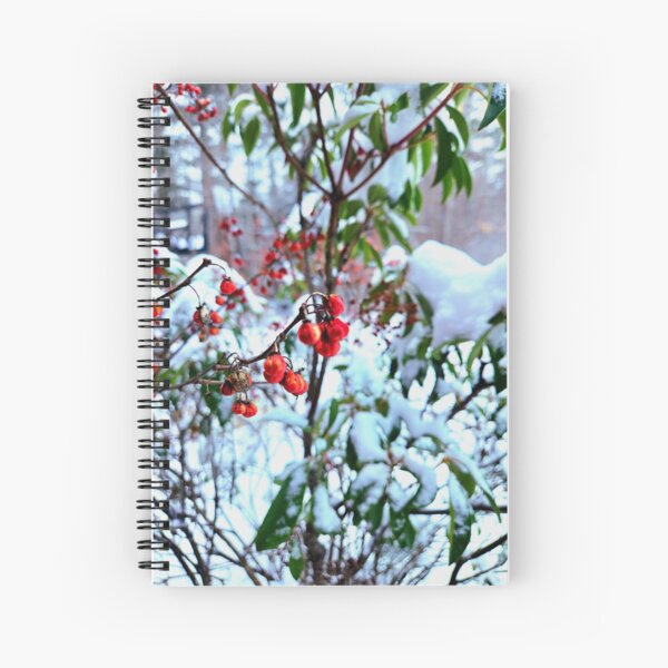Item preview, Snowberries - Copyright 2025 Christipher Ulm  designed and sold by LinkinsLegion.
