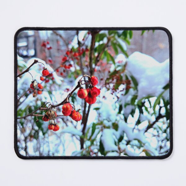 Artikelvorschau, Schneebeeren - Copyright 2025 Christopher Ulm entworfen und verkauft von LinkinsLegion.