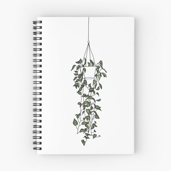 Item preview, Pothos Hanging Plant designed and sold by racheljanereads.