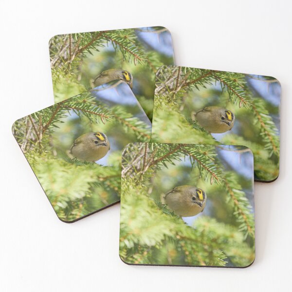 Item preview, Fast and curious. Goldcrest designed and sold by Jouko Lehto Photography.